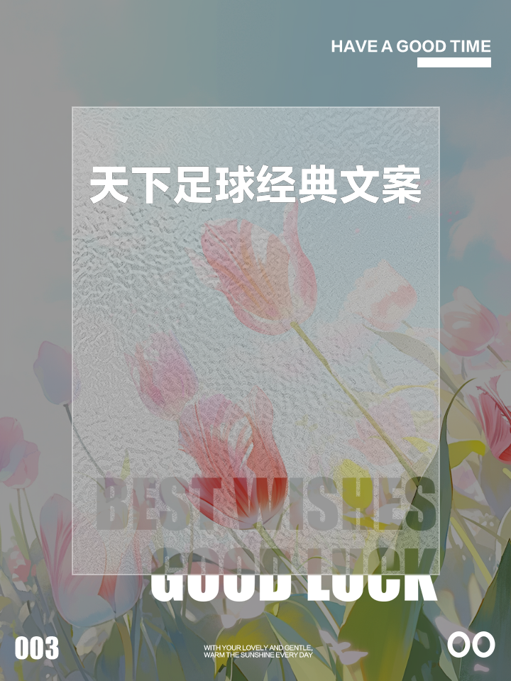 包含著名球员宣布退役决定,告别球场岁月的词条 包含著名球员宣布退役决定,告别球场岁月的词条