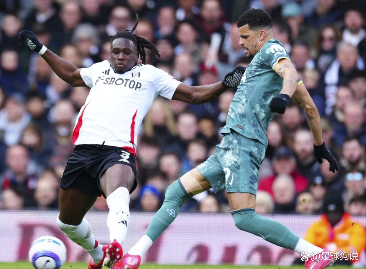 包含哈德斯菲尔德主场惨败热刺，保级境况堪忧的词条